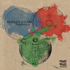 Monkey Safari - Run run run ( Hanne & Lore Remix )