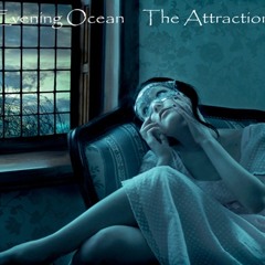 The Attraction