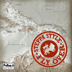 Steppa Style - Fly Over