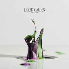 Eintakt-Compilation/ LIQUID GARDEN 2010/ Frank Hellmond/Hurts