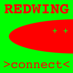 Redwing: Connect (2010)