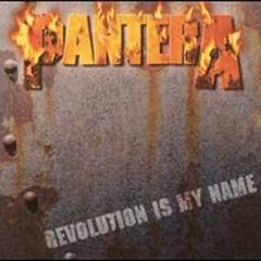 Revolution Is My Name (Cover)