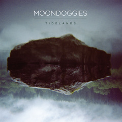 The Moondoggies - What Took So Long