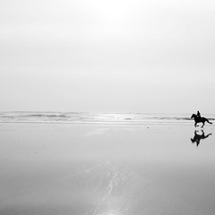 White Horses of the Wind