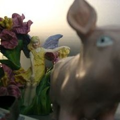 Deterministic Fallacy