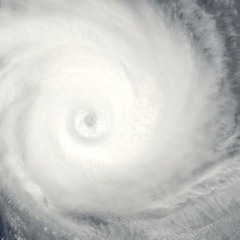 Freedom Catches In The Throat