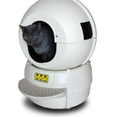 Erectro lolcat