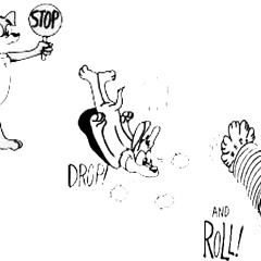 Skreech - Stop, Drop, & Roll (2011 Mixed Set) Free Downloads!!! {100 Limit}