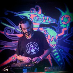 Tribe of Frog nye dj set