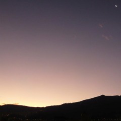 Peke Rock and Roll - Light Version