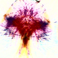 Spam Flaps & The Spak Retractors - (teamspazbra[ket edit)
