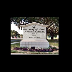 Superfly Butterfly MP3