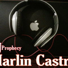 PLAN B - SI NO LE CONTESTO DJ PROPHECY MERENGUE REMIX