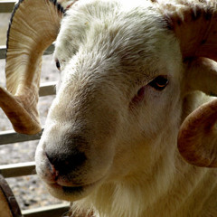 Bis Art Shaker vol23 - By Silvere