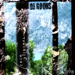 DJ g00ns - Crimin(im)al