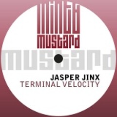 Jasper Jinx - Terminal Velocity (Original mix)