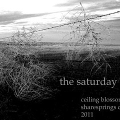 The Saturday Guy - Ceiling Blossom (Sharesprings cover)