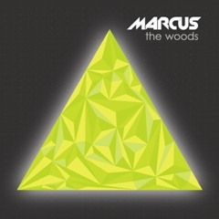 Marcus - The Woods (Vocal Remix feat. Krause)