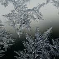 Eisblume