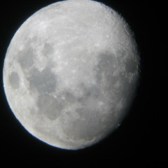 Mare Tranquillitatis