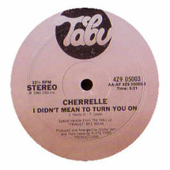 Cherelle - I Didn't Mean to Turn You On (HBB ReHunch)
