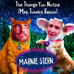 Marnie Stern: The Things That You Notice (Max Tundra Remix)
