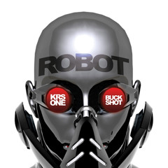 KRS ONE & BUCKSHOT- robot (ced.rec beatz morning remix) FREE DOWNLOAD !!!