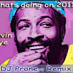 Marvin Gaye - Whats going on 2011 (dj prone remix)