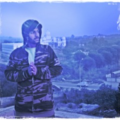 DSP-Modern Heer posted by