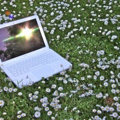 T Dave - A Safe Place