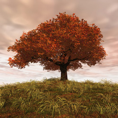 subclash - outcast [one year EP]