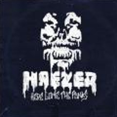 Haezer feat. Circe - Here Come The Punks (The S Remix) [PROMO]