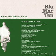 Blu Mar Ten - From the Vaults Vol 6 - Jungle Mix - 1994