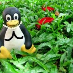 an imaginary journey through some kind of jungle