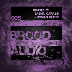 Erphun - Brood2 (Sasha Carassi Remix) [Brood Audio]
