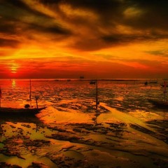 A Brief Walk In The Sea