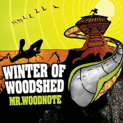 Mr Woodnote - Get Down - feat. Lil Rhys, Dub Fx, Theo Weywood & Flower Fairy