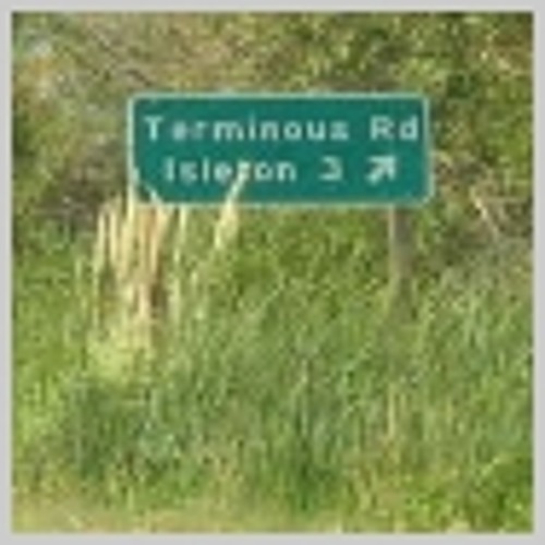 terminous