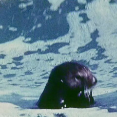 Margaret Dygas,Ana live @ Harry Klein 8.3.2007 EXCERPT