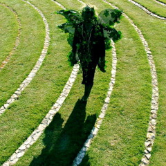 The stalk to the core