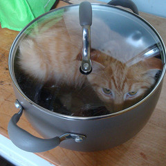 Why's it so hot in here?