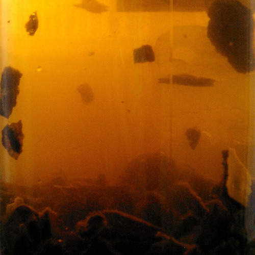 onivap [2003]