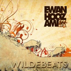 Ewan Hoozami - Soul Step (Mr Bird Remix)