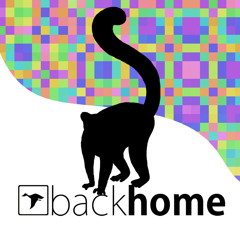 Revertible insole ep