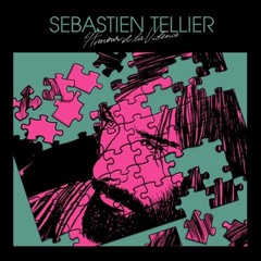 Sebastien Tellier - L'amour et la violence (Boys Noize euro mix)