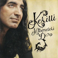 Murat Kekilli - Dut Ağacı Değilem
