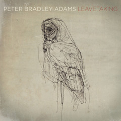 Peter Bradley Adams - One Foot Down