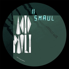 Acid Pauli -  Flamenco (Moog Conspiracy & Breger Remix) [Smaull 11]