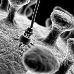 MICROCHIP