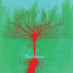 Contemplation (A Cadence of Thought)